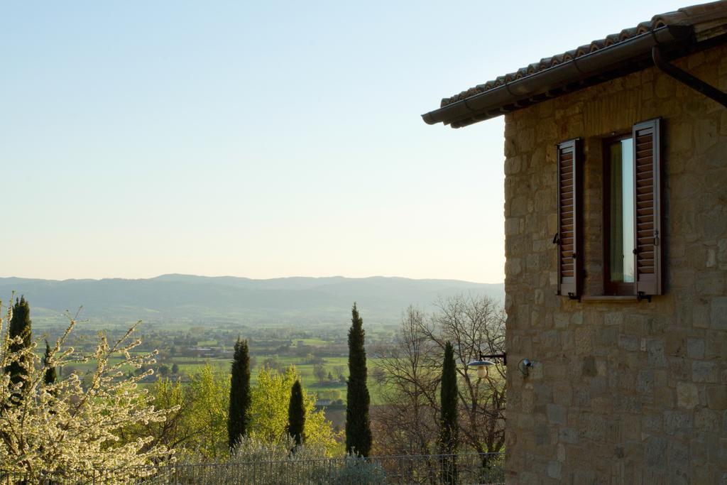 Villa Degli Ulivi Asyż Zewnętrze zdjęcie